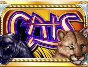 real casino online