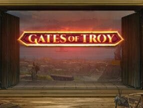 sorteador online